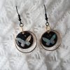 Boucles d'oreilles Papillon de Nuit